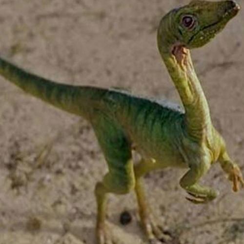 Traços de pele de dinossauro 