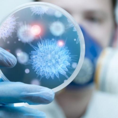 Cientista cria novo vírus da gripe que poderia matar toda a humanidade