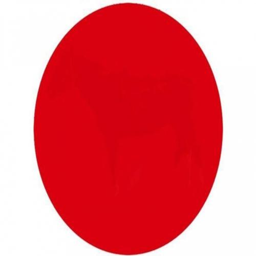 Desafio da net: você enxerga o que está dentro do círculo vermelho?