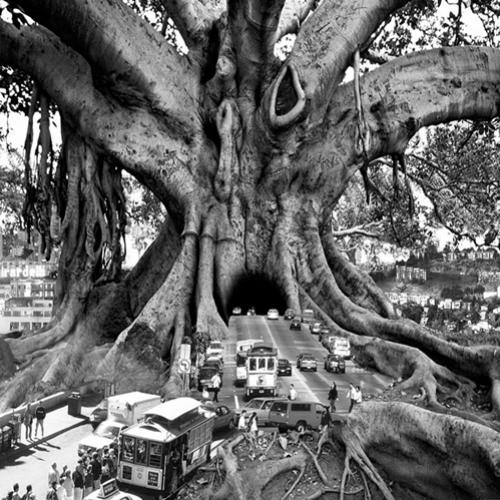 Fotos incríveis que recriam o mundo surreal dos sonhos