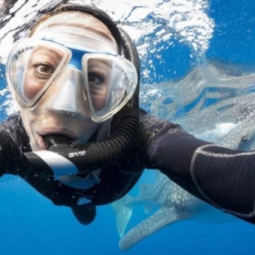 Selfies matam mais do que tubarões