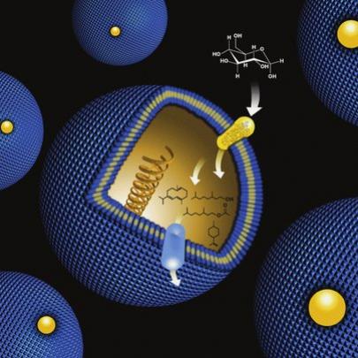 Cientistas criam partícula de oxigênio injetável