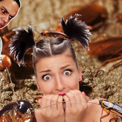 Medo de baratas é muito sem sentido e você deveria parar com isso!