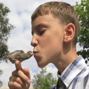 Garoto russo resgata pardal selvagem e faz amizade com ave