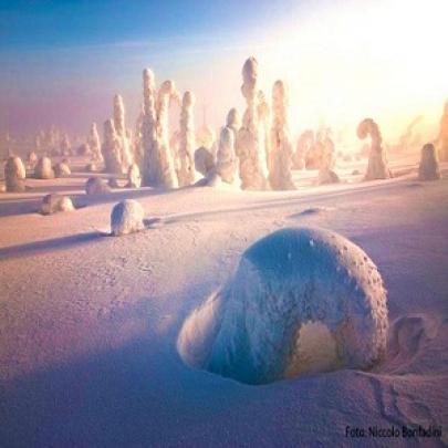 O impressionante bosque congelado da Finlândia