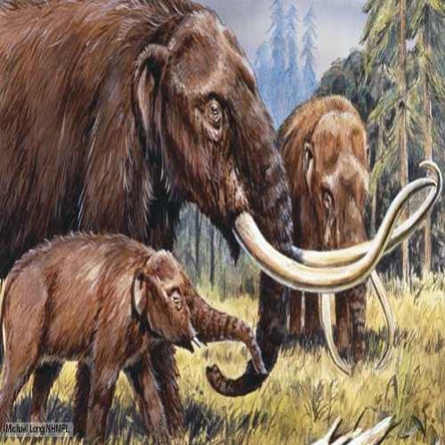 Mastodontes desapareceram antes dos seres humanos
