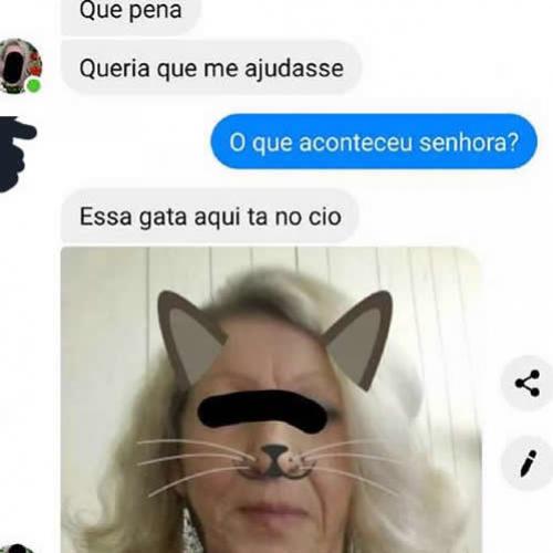 Procura-se veterinário para cuida de uma gata