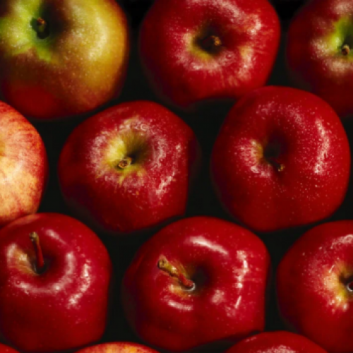 Comer uma maçã todos os dias ajuda a sua saúde Descubra os benefícios 