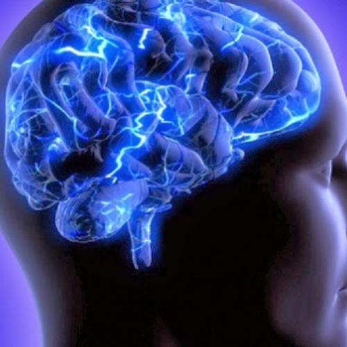 7 mitos falsos sobre o cérebro (com video)