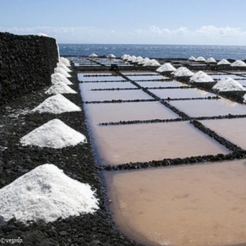 10 benefícios que o sal marinho tem para a saúde