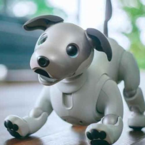 Aibo, o cão robótico da Sony está de volta. Por enquanto só no Japão.