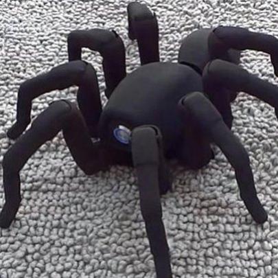 Conheça a incrível aranha robô dançarina de salsa!
