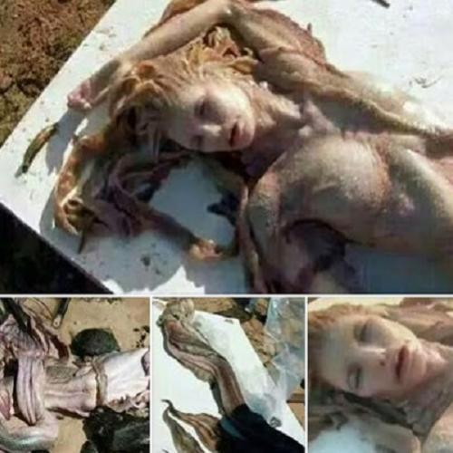 Sereia é encontrada morta em praia em Sergipe