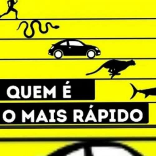 Sabia que fuscas eram animais, não era possível...