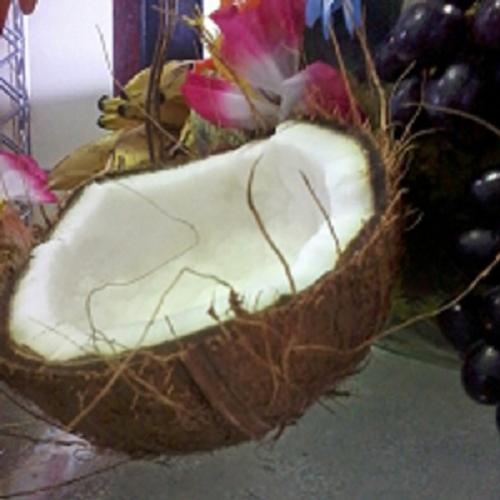 A riqueza do coco