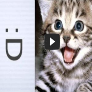 Gatos ensinam o significado dos smiles