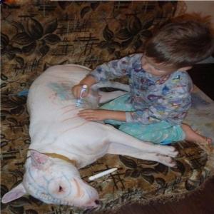  Motivos para dar um cão para seu filho 