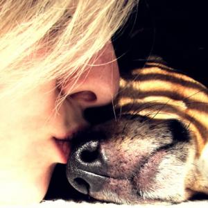 As mulheres preferem animais de estimação a sexo, segundo estudo