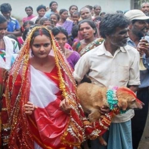 Mulher Indiana se casa com cachorro