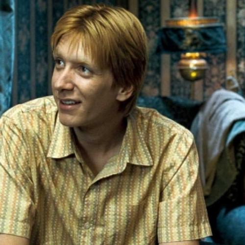 O que aconteceu com George Weasley após a morte do irmão? 