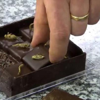 Fabricante de chocolate cria bombom com grilo: que tal?