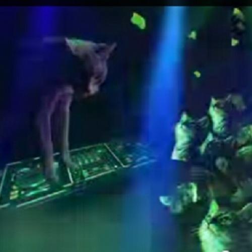 Meow Mix Song - Balada dos gatos