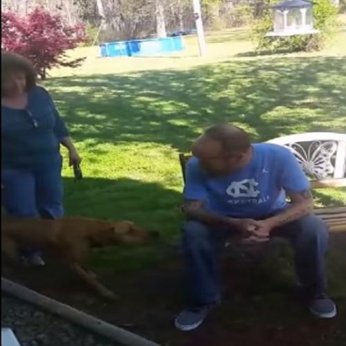 Cachorro quase não reconhece o dono após perder mais de 20 quilos