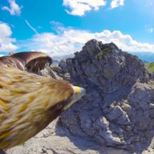 Confira nesse vídeo a incrível visão que uma águia tem ao voar nos Alp
