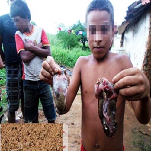  5 casos terríveis de canibalismo no Brasil 
