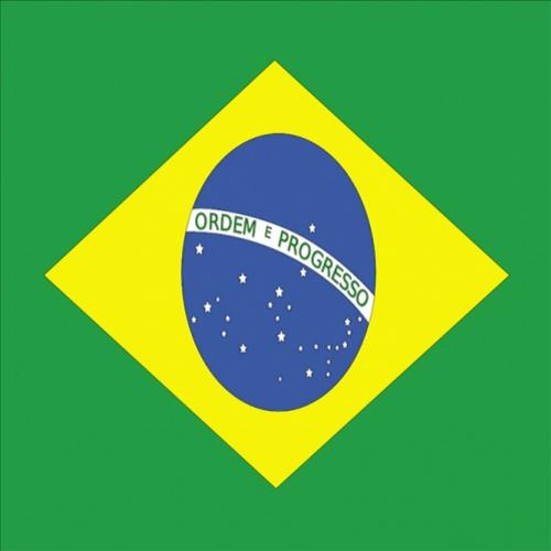Somente os contratos inteligentes podem salvar o brasil