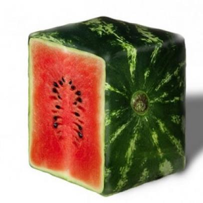 Entenda por que as melancias nascem quadradas no Japão! 