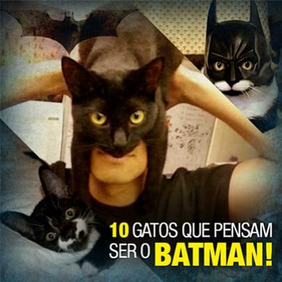 10 Gatos que pensam ser o Batman