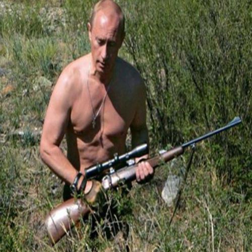 Motivos para adorar a Vladimir Putin