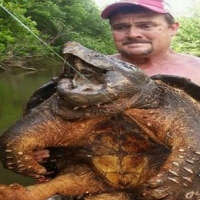 Pescador se surpreende ao fisgar tartaruga-aligátor de 45 kg em lago