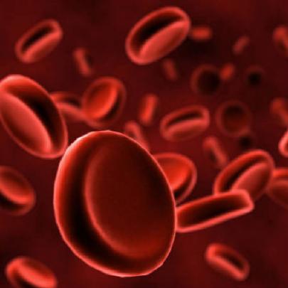 Cientistas querem testar sangue artificial em humanos pela 1ª vez
