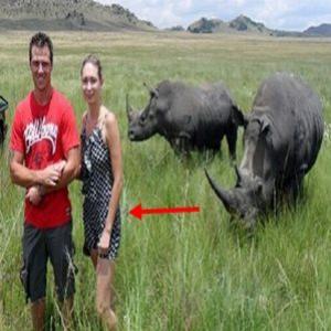 Foto mostra momento antes de mulher ser atacada por rinoceronte