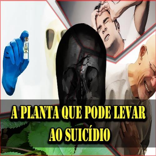 A planta que pode levar ao suicídio