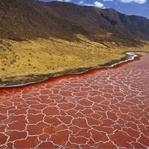 O misterioso lago Natron