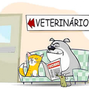Quando levar meu pet ao veterinário?