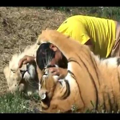  Amizade entre pessoas e animais selvagens