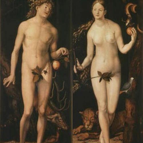 Adão e Eva comeram mesmo uma maçã?