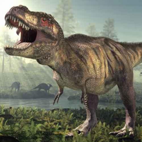Novo parente do temido Tiranossauro Rex é descoberto