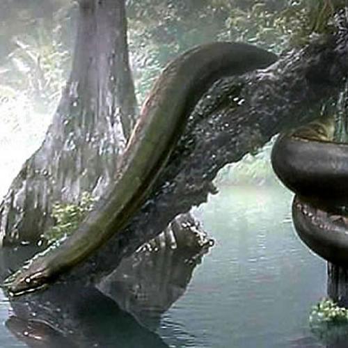 7 animais pré-históricos gigantes extintos