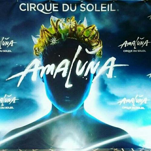 Cirque du Soleil razões para ver e se apaixonar por Amaluna