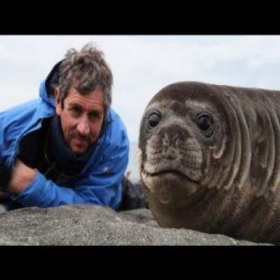 Homem deita ao lado de uma foca bebê, e acontece algo emocionante