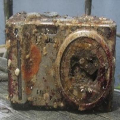 Câmera perdida no mar é encontrada 2 anos depois com fotos intactas