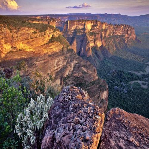 Conheça mais um pouco do Sul e Centro-Oeste brasileiro