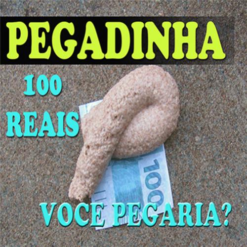 Pegadinha 100 reais na merda você pegaria ?