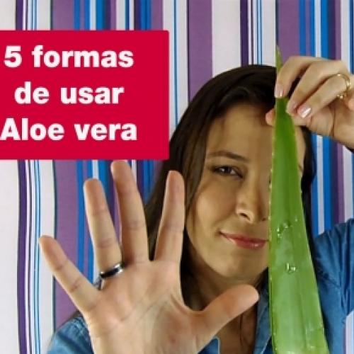 5 formas de usar aloe vera - beleza e bem-estar