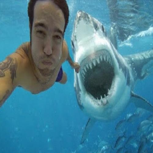 Ataque de tubarão durante selfie causa muita comoção na internet